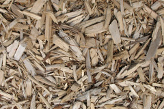 biomass boilers Barton Le Willows
